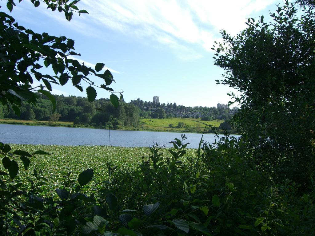 Burris Guest House Burnaby Exteriör bild